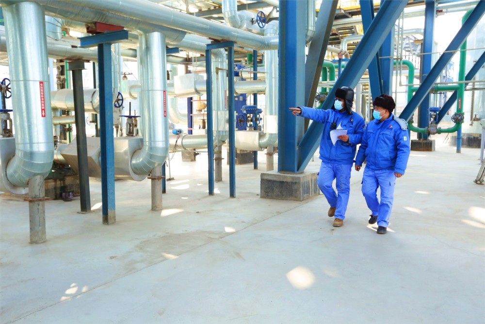 敦华绿碳 探秘'捕碳'工厂，揭秘环保设备如何变废为宝的技术之路